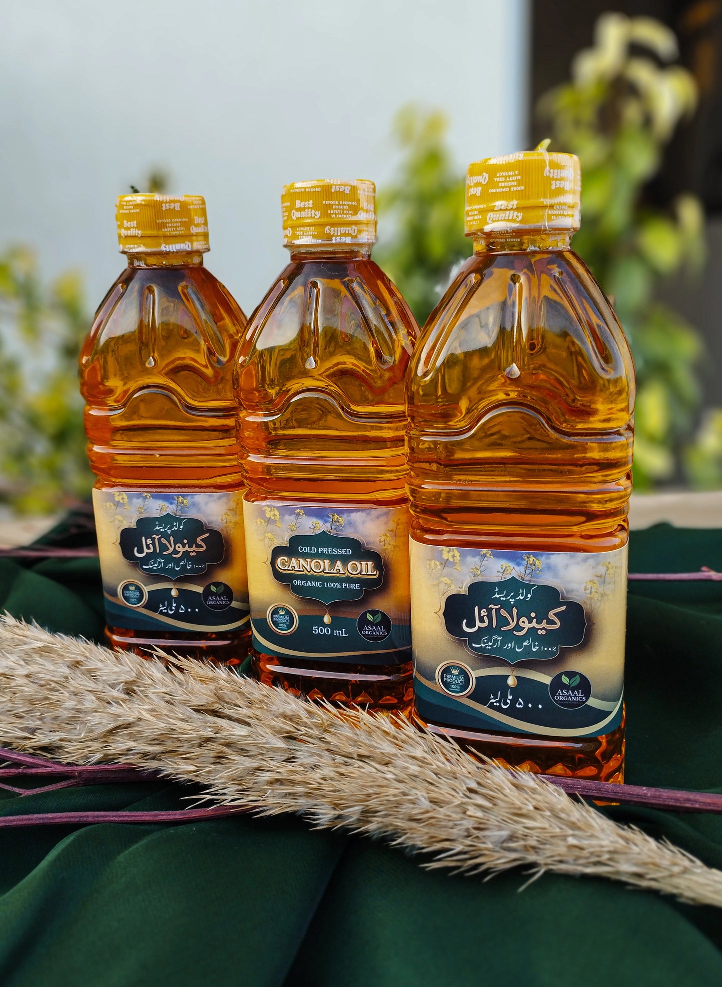 100% Pure Cold-Pressed Canola Oil Healthy Cooking Oil Asaal Organics