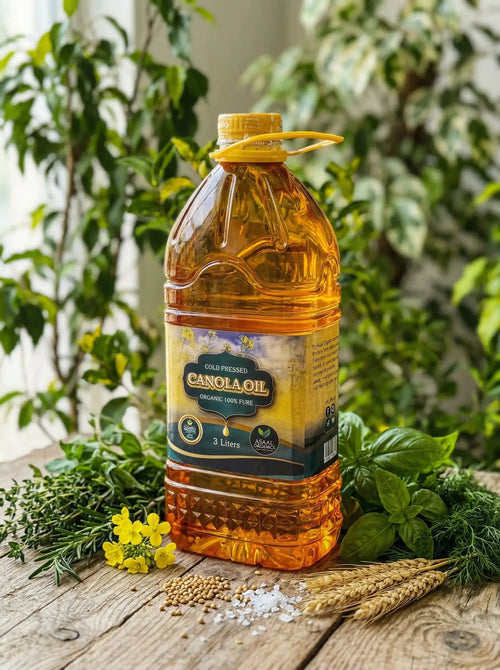 Pure Canola Oil — 3L Family Size Asaal Organics